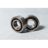 ZD 900 Ball Bearing 9-03